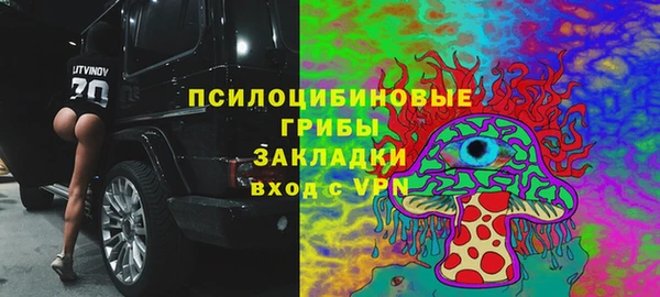 дмт Абаза