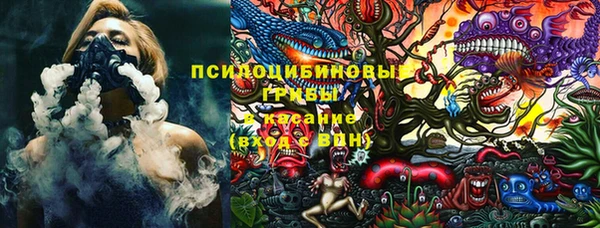 дмт Абаза