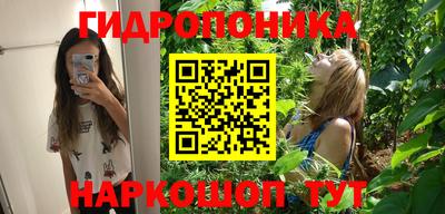 соль ск Владивосток