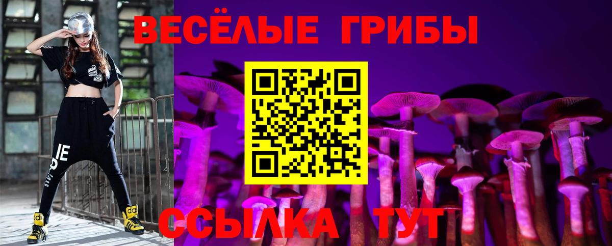 Братск  Псилоцибиновые грибы MAGIC MUSHROOMS  Вход с VPN 