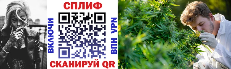Бошки марихуана сатива магазин продажи наркотиков Братск